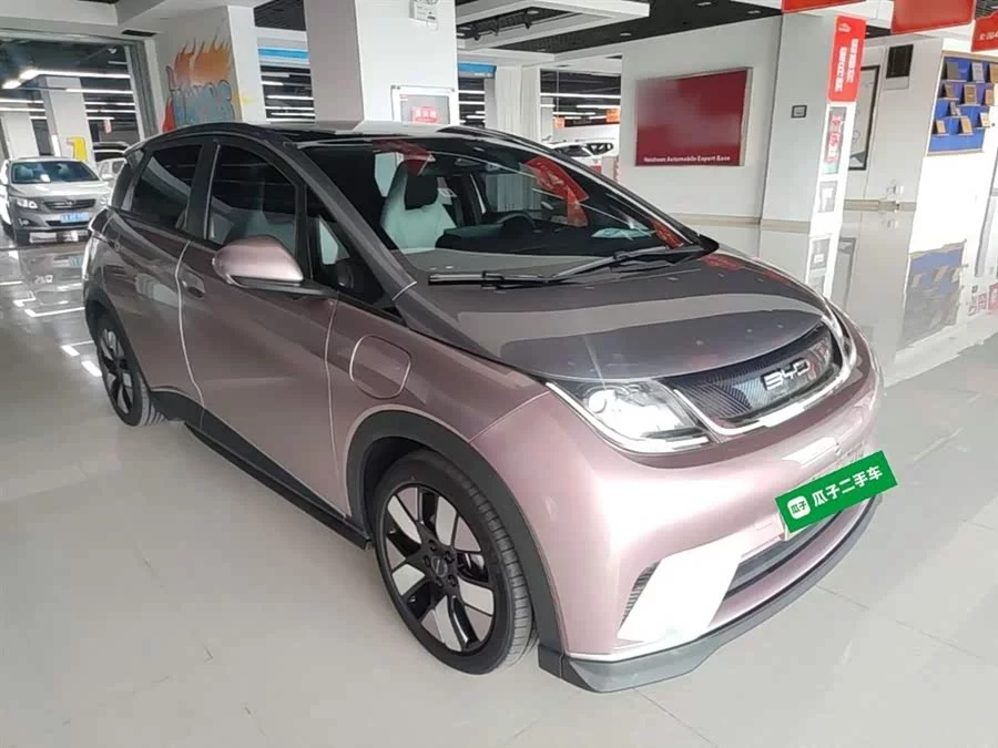BYD Dolphin
