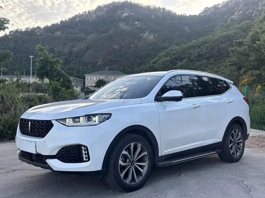 Wey VV6