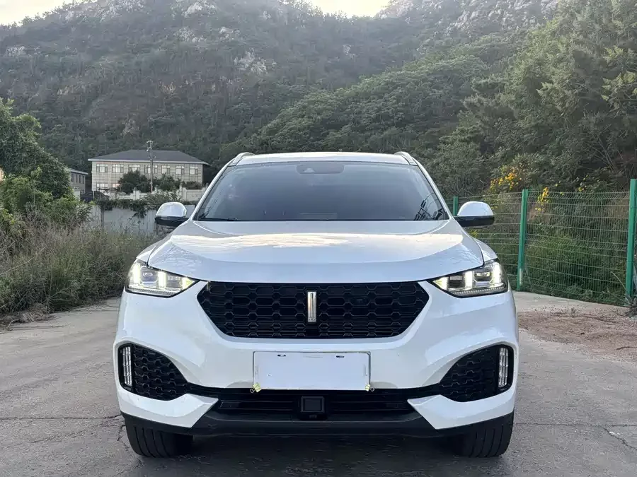 Wey VV6