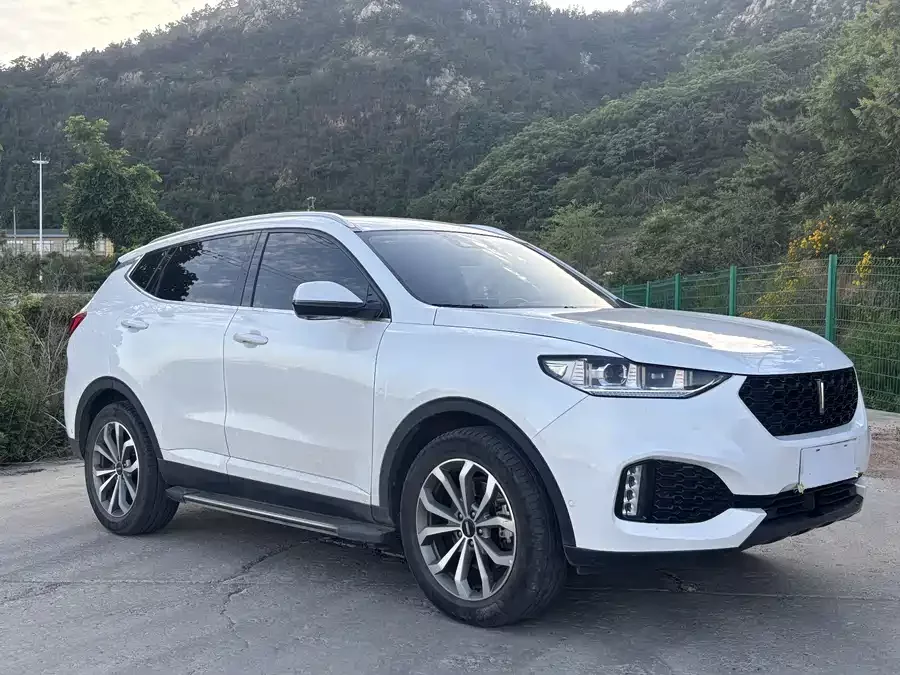 Wey VV6