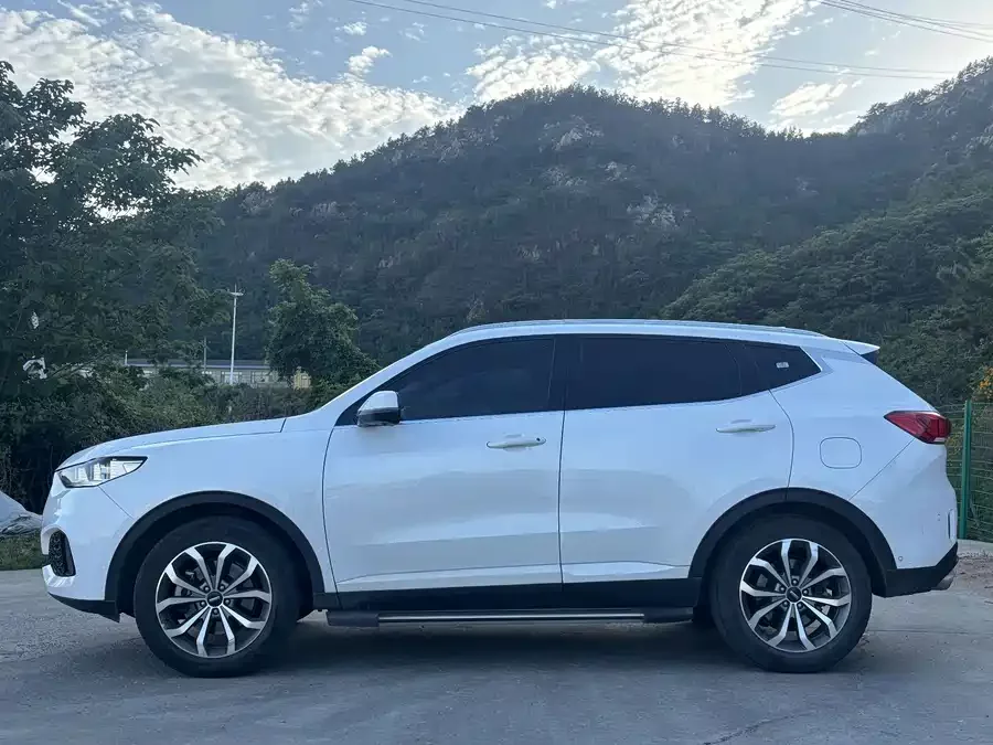 Wey VV6
