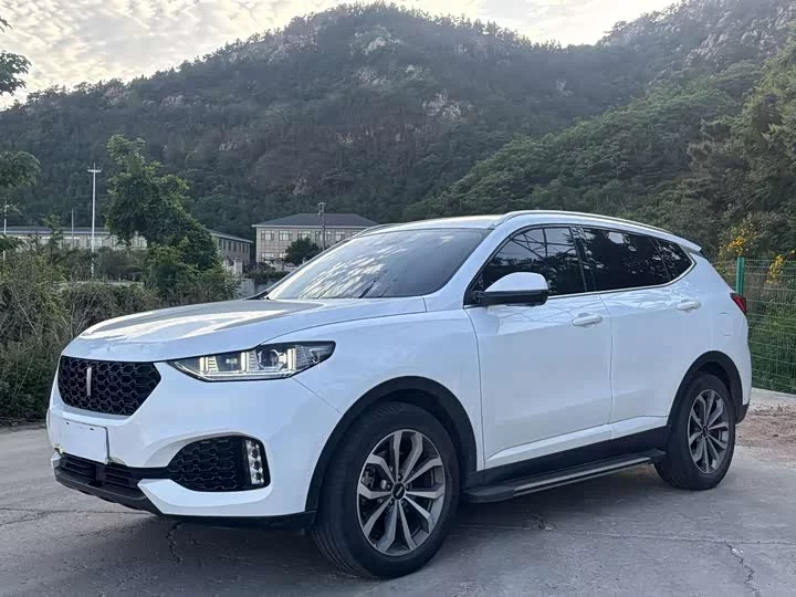 Wey VV6
