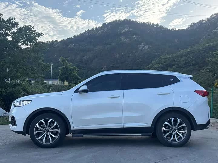 Wey VV6