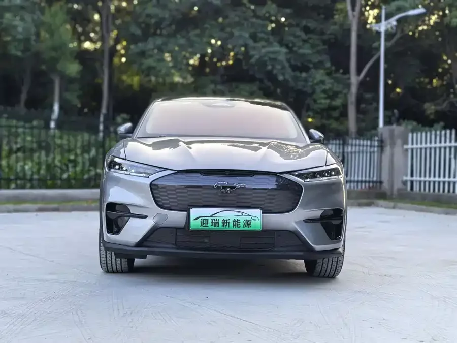 Ford electric horse