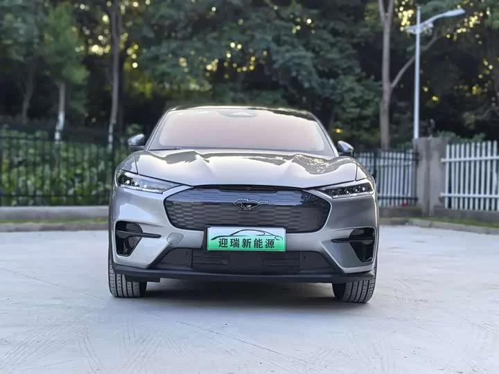 Ford electric horse