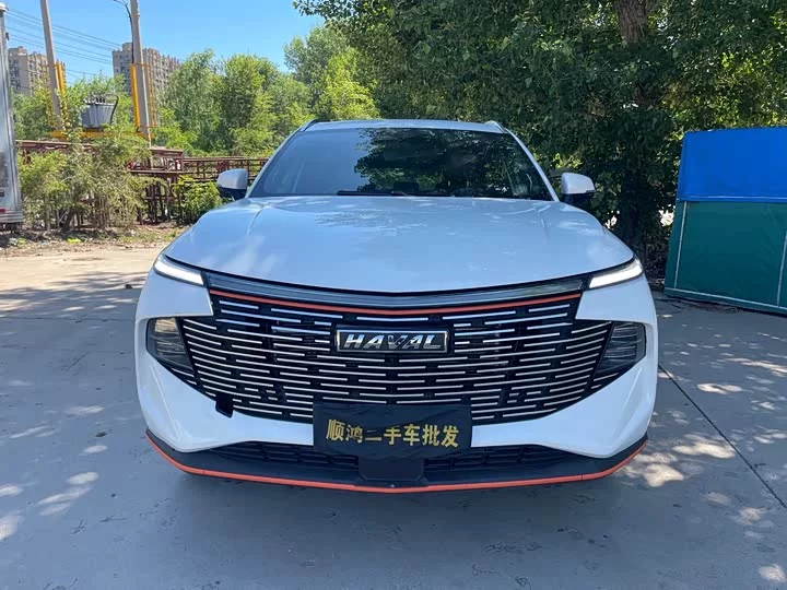 Haval Shenshou