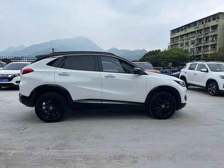 Buick onkola