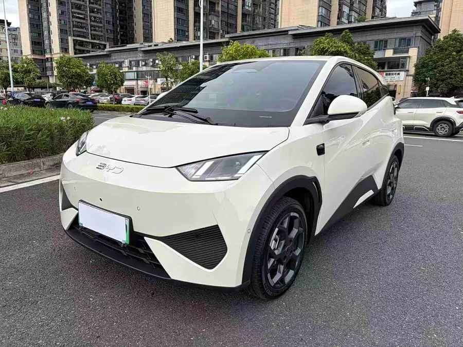 BYD Seagull