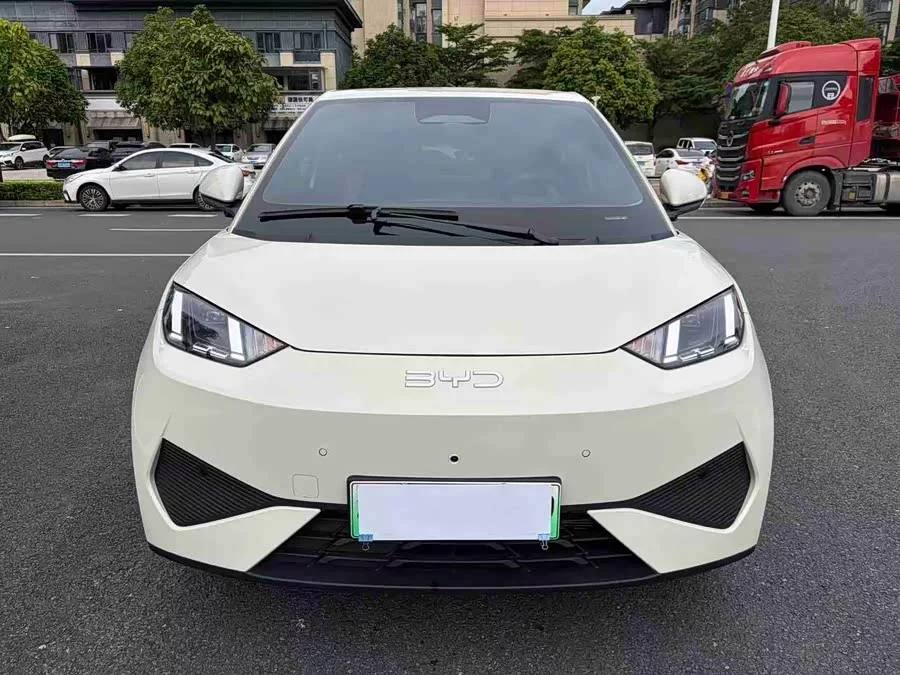 BYD Seagull