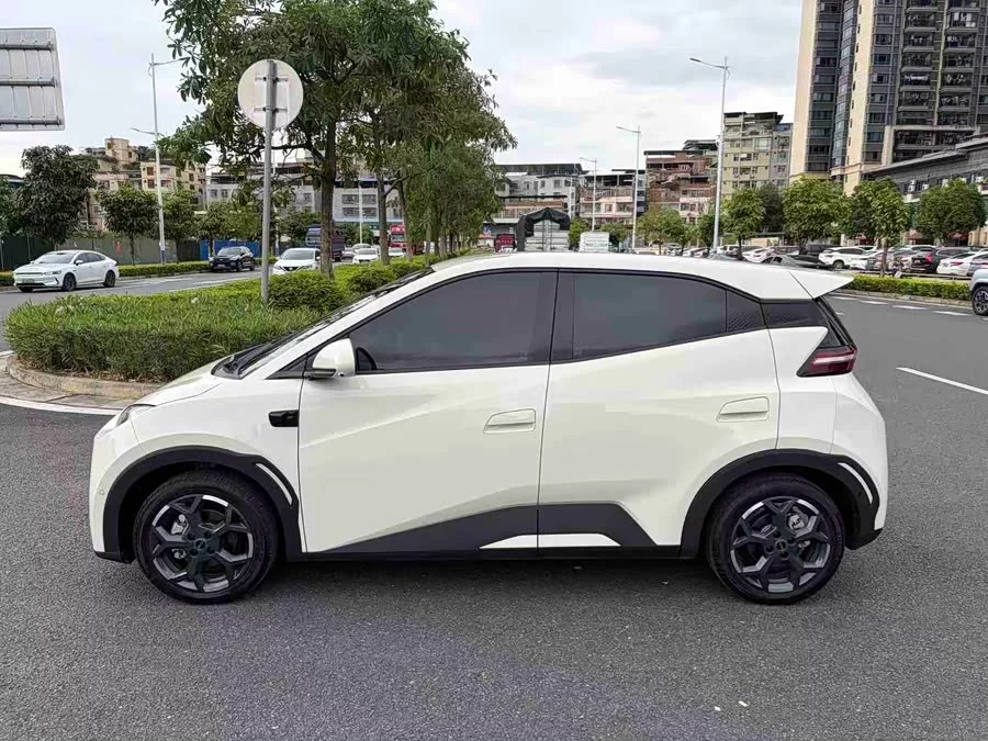 BYD Seagull