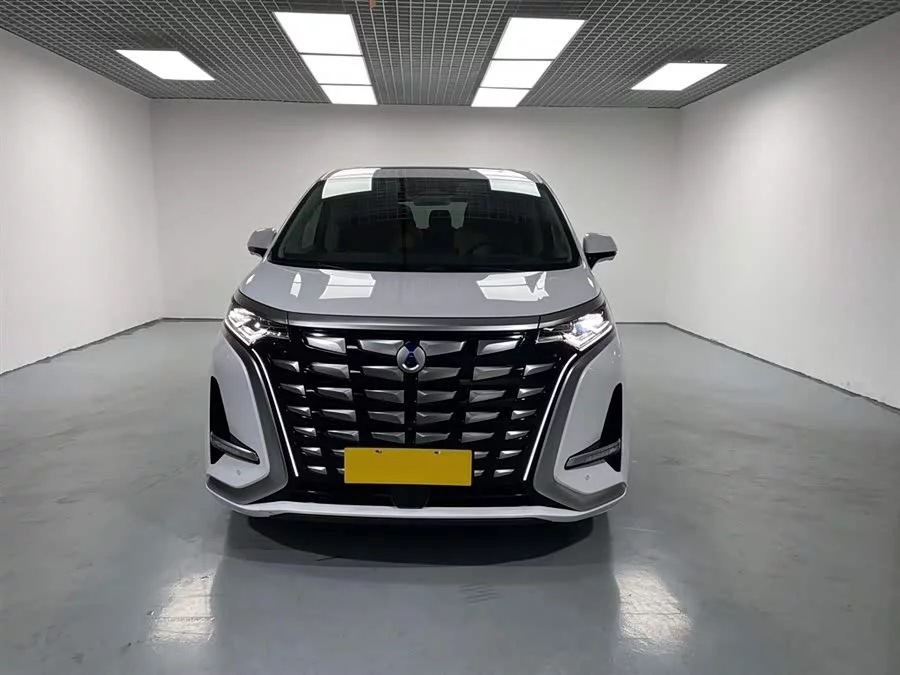 BYD D9