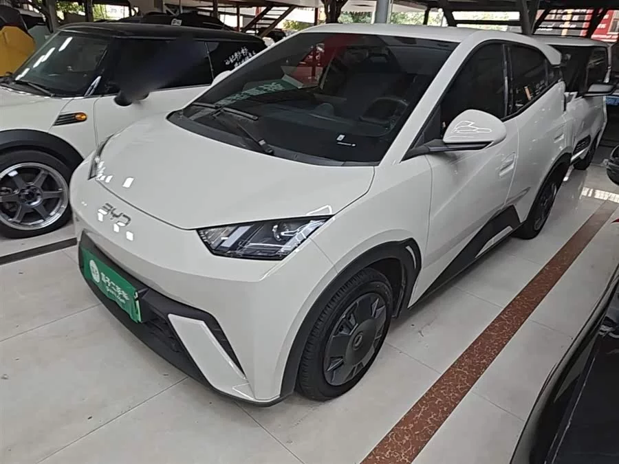 BYD Seagull