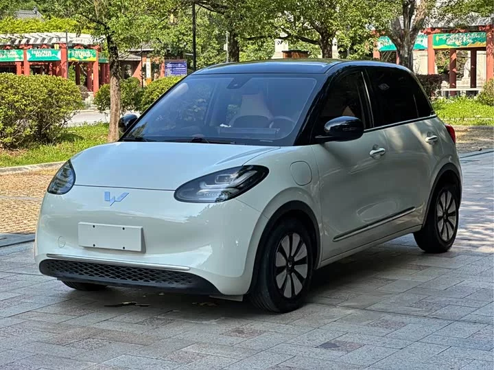 Wuling Bingo