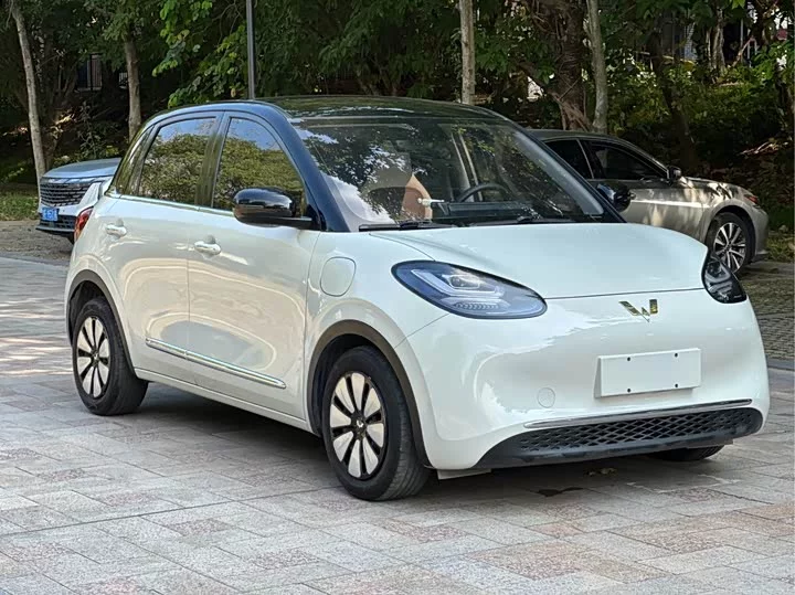 Wuling Bingo