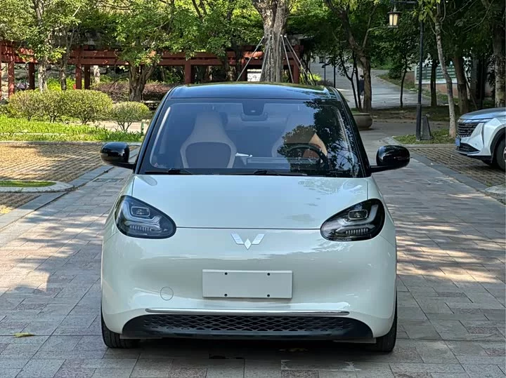 Wuling Bingo
