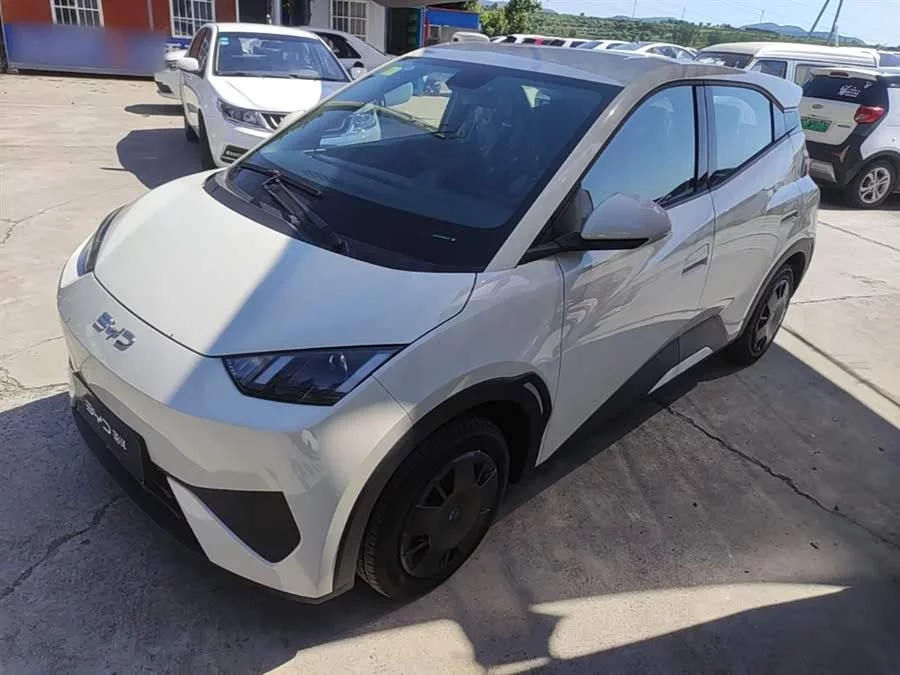 BYD Seagull