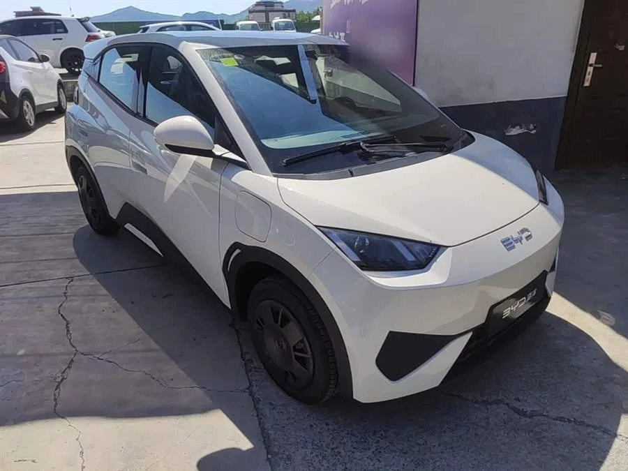 BYD Seagull