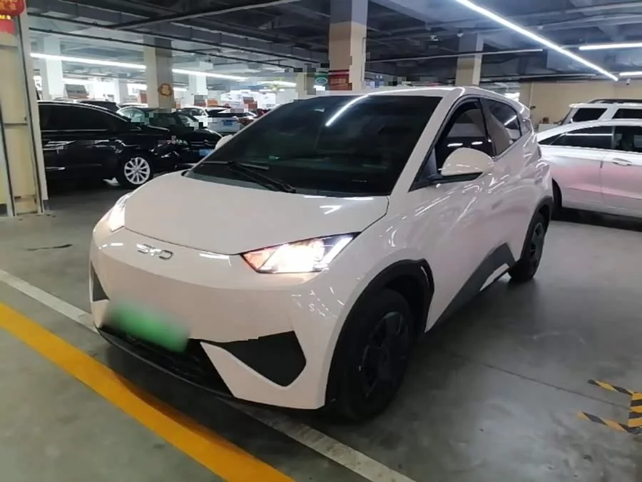 BYD Seagull