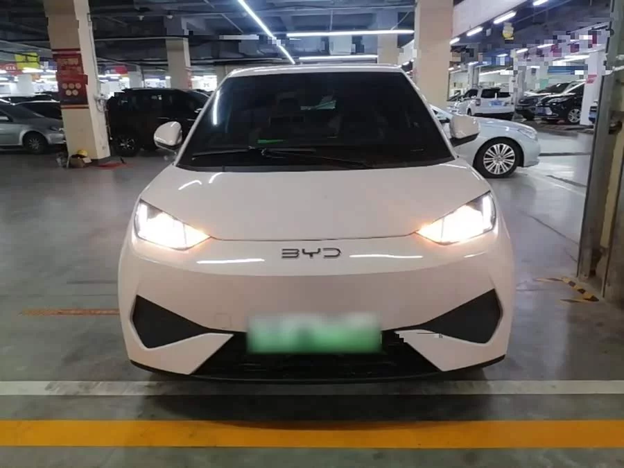 BYD Seagull