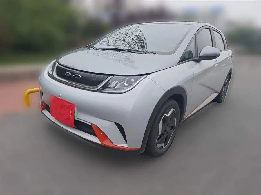 BYD Dolphin