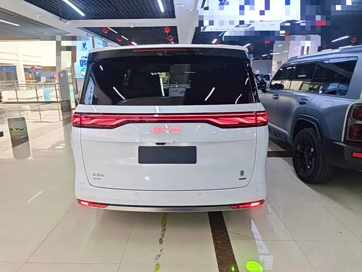 BYD summer