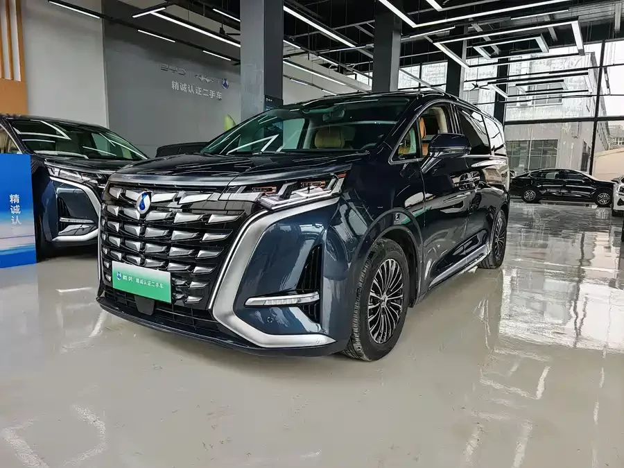 BYD D9