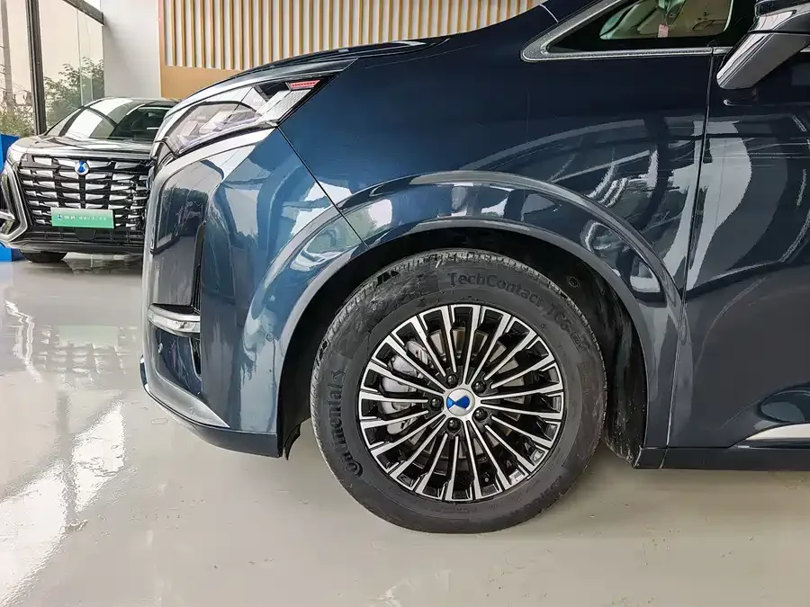 BYD D9