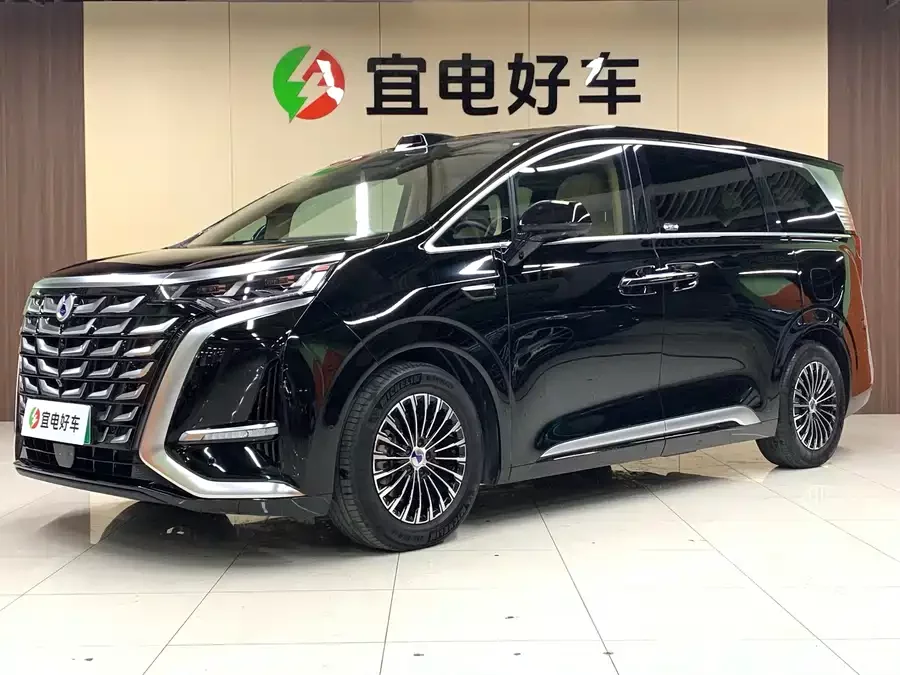 BYD D9