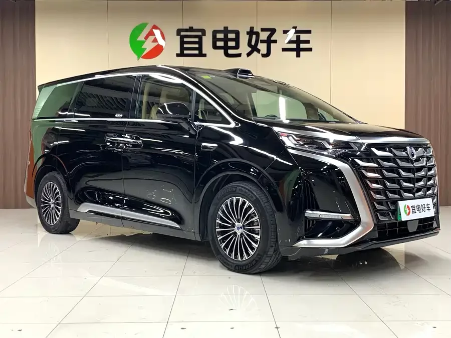 BYD D9