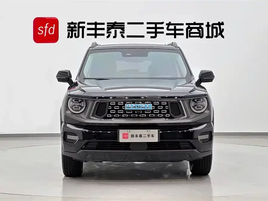 Haval Big Dog PLUS New Energy