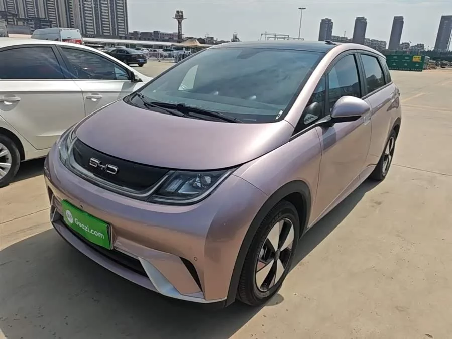 BYD Dolphin
