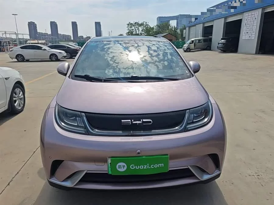 BYD Dolphin