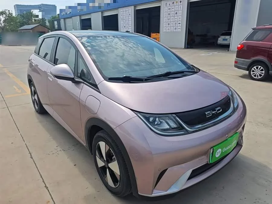 BYD Dolphin