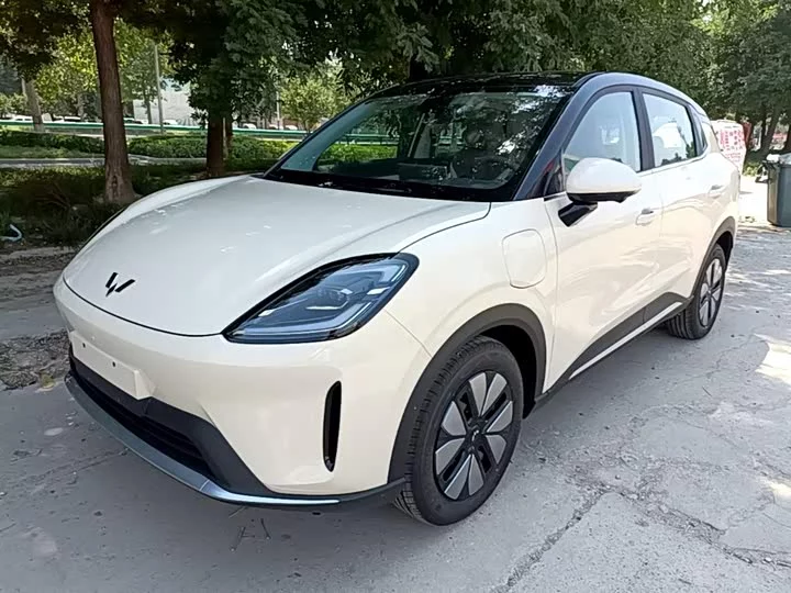 Wuling Bingo S