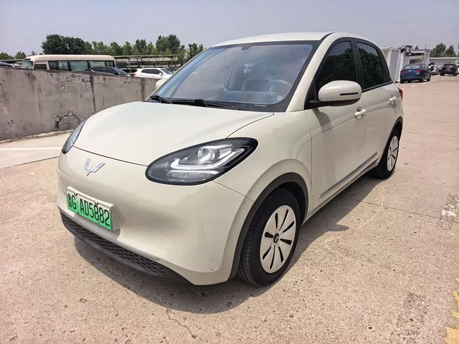 Wuling Bingo
