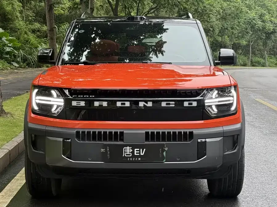 Ford Smart and Fun Horse