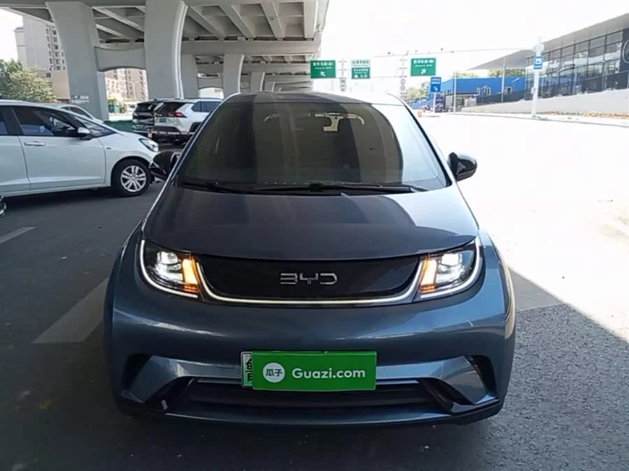 BYD Dolphin