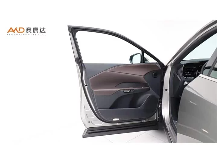 Lexus RX New Energy