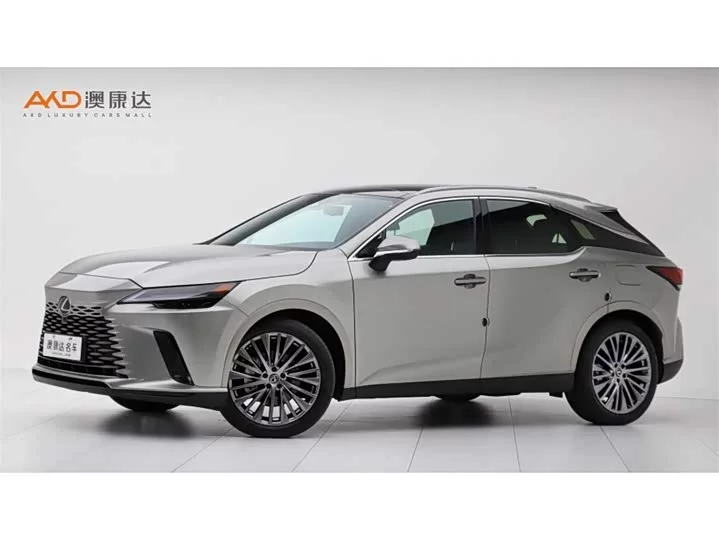 Lexus RX New Energy