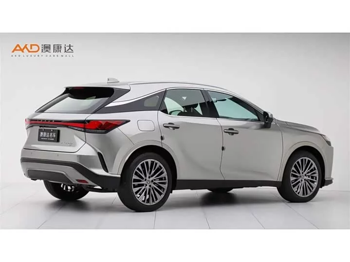 Lexus RX New Energy