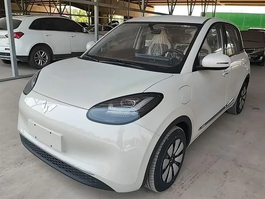Wuling Bingo