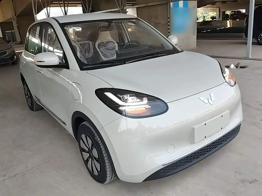 Wuling Bingo