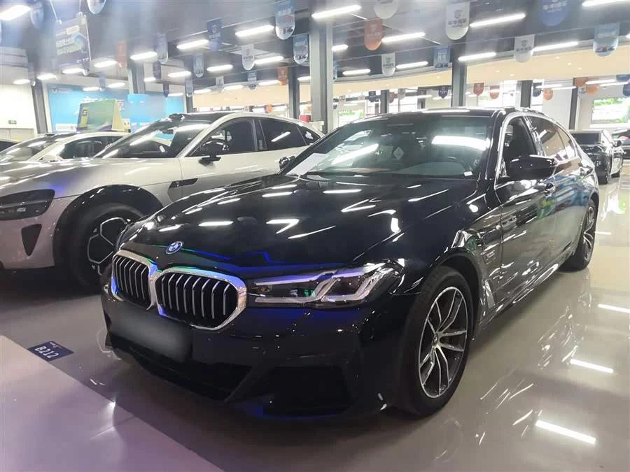 BMW 5 Series New Energy