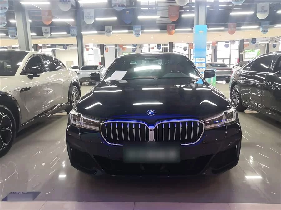 BMW 5 Series New Energy