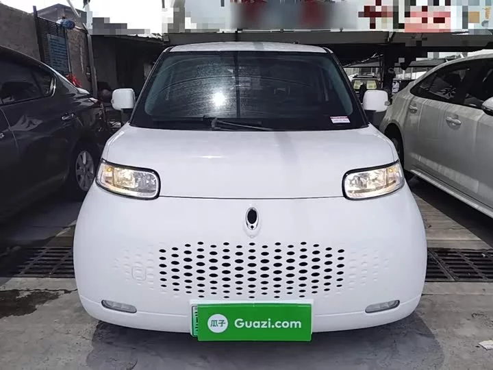 ORA White cat