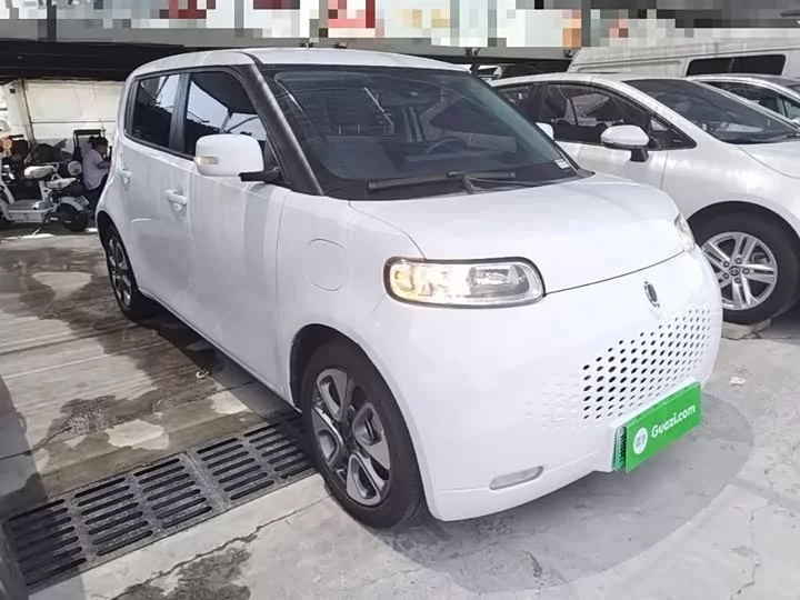 ORA White cat