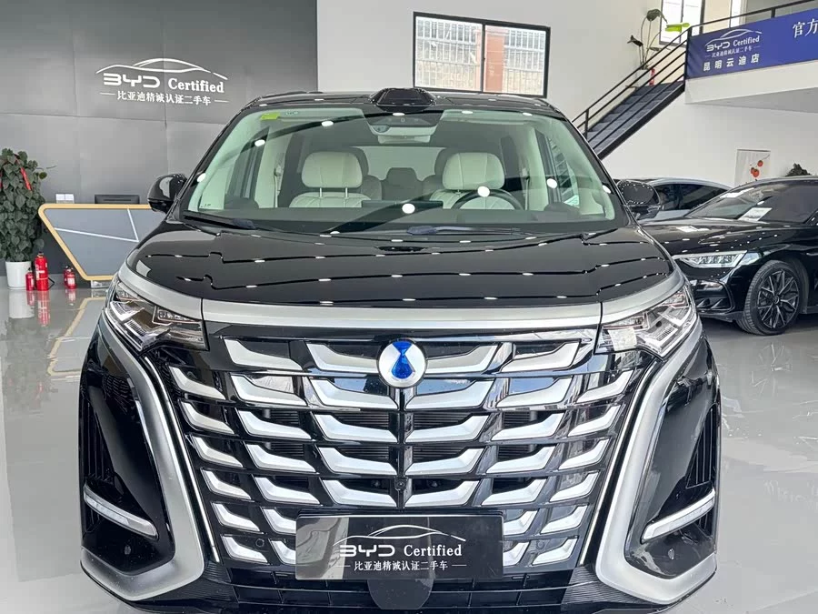 BYD D9