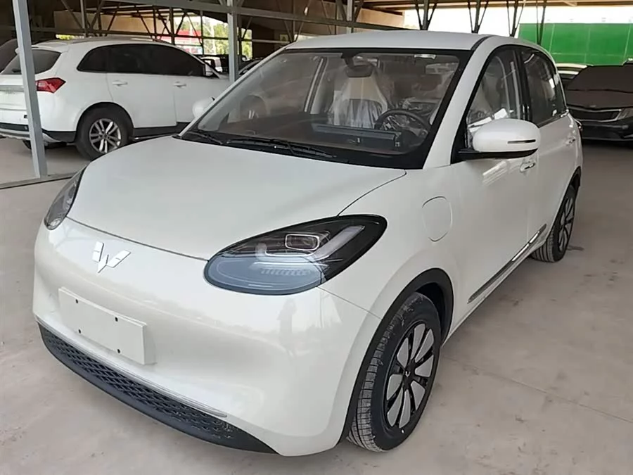 Wuling Bingo