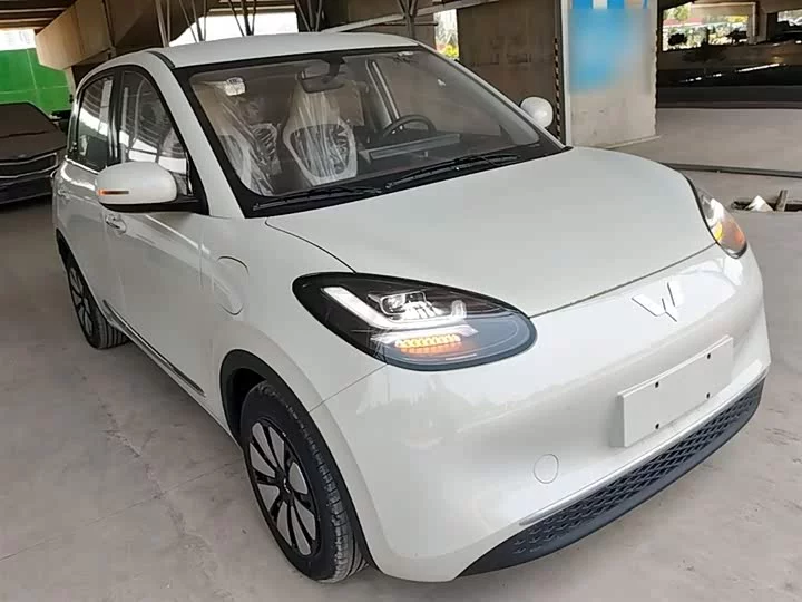 Wuling Bingo