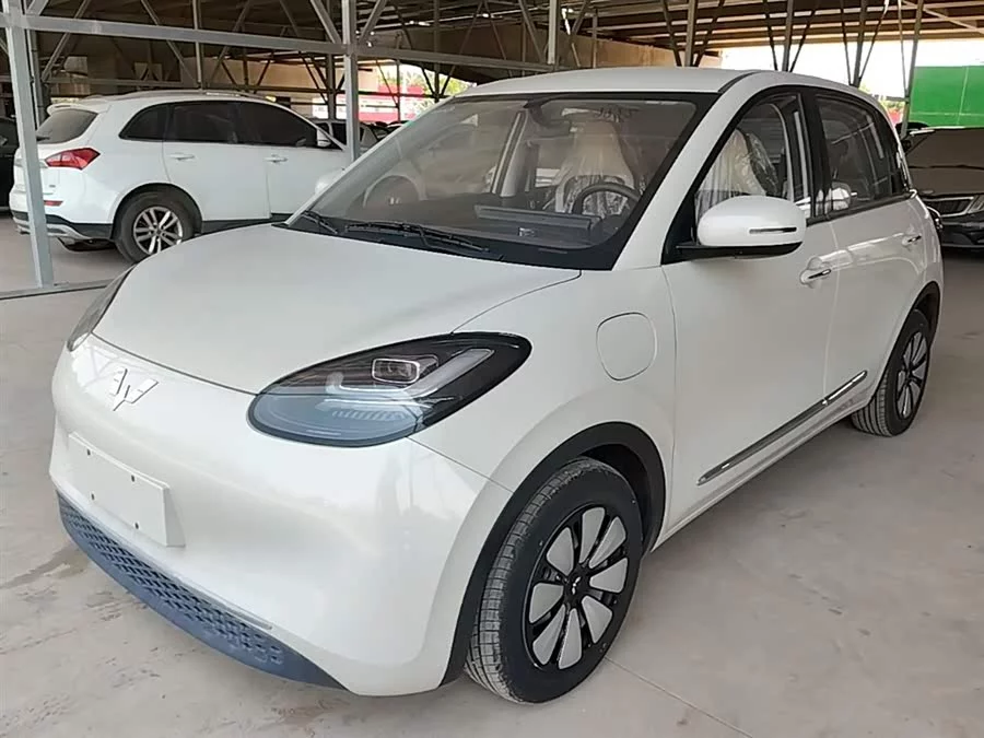 Wuling Bingo